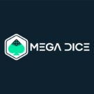 Mega Dice Review